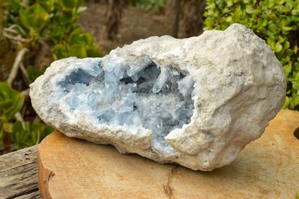 Natural XXL Celestite Geode With Gorgeous Acicular / Prismatic Crystals x 1 From Sakoany, Madagascar - TopRock