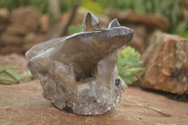Natural Smokey Quartz Crystal Specimens  x 2 From Erongo Mountains, Namibia - TopRock