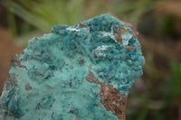 Natural Blue Drusy Chrysocolla Dolomite & Malachite Specimens  x 6 From Likasi, Congo - TopRock
