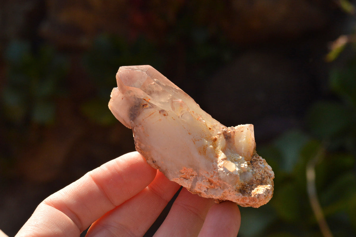Natural Red Hematoid Phantom Quartz Crystals x 35 From Karoi, Zimbabwe - TopRock