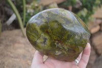 Polished Green Opal Standing Free Form  x 1 From Madagascar - Toprock Gemstones and Minerals