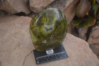 Polished Green Opal Standing Free Form  x 1 From Madagascar - Toprock Gemstones and Minerals