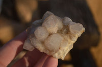 Natural Mixed Spirit Quartz Clusters x 12 From Boekenhouthoek, South Africa - Toprock Gemstones and Minerals