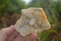 Natural Drusy Coated Mountain Quartz Specimens  x 18 From Alberts Mountain, Lesotho - TopRock