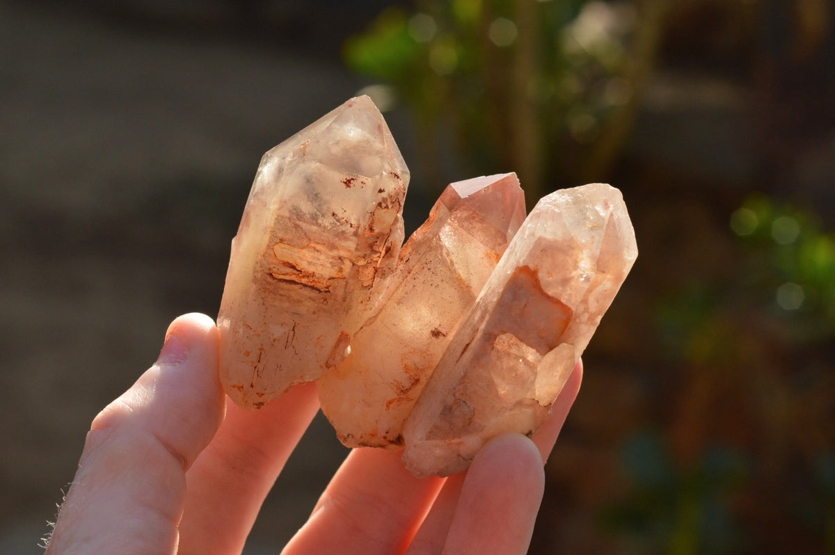 Natural Red Hematoid Phantom Quartz Crystals x 35 From Karoi, Zimbabwe - TopRock
