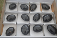 Polished Schorl Black Tourmaline Palm Stones  x 12 From Madagascar - Toprock Gemstones and Minerals