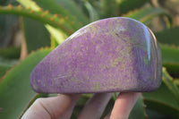 Polished Purple Stichtite & Serpentine Standing Free Form x 1 From Barberton, South Africa - Toprock Gemstones and Minerals