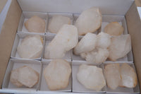 Natural Large Single Quartz Crystal Specimens  x 13 From Madagascar - Toprock Gemstones and Minerals