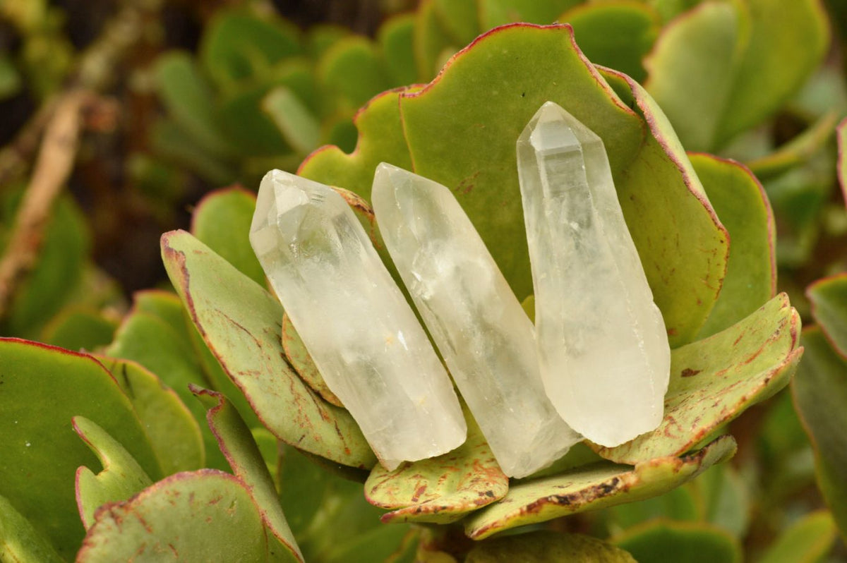 Natural Single Clear Quartz Crystals x 35 From Madagascar - TopRock