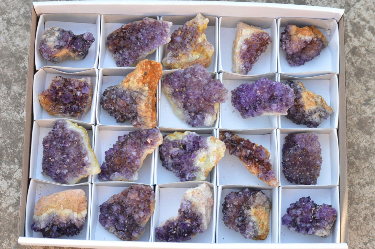 Natural Lovely Dark "Amethystos" Amethyst Clusters x 20 From Kwaggafontein, South Africa - TopRock