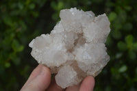 Natural White Cactus Flower Spirit Quartz Specimens x 6 From Boekenhouthoek, South Africa - Toprock Gemstones and Minerals
