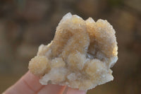 Natural Mixed Spirit Quartz Clusters x 12 From Boekenhouthoek, South Africa - Toprock Gemstones and Minerals