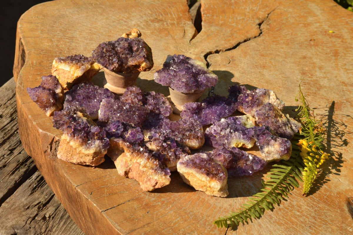 Natural Lovely Dark "Amethystos" Amethyst Clusters x 20 From Kwaggafontein, South Africa - TopRock