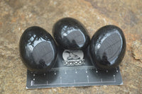 Polished Schorl Black Tourmaline Palm Stones  x 12 From Madagascar - Toprock Gemstones and Minerals