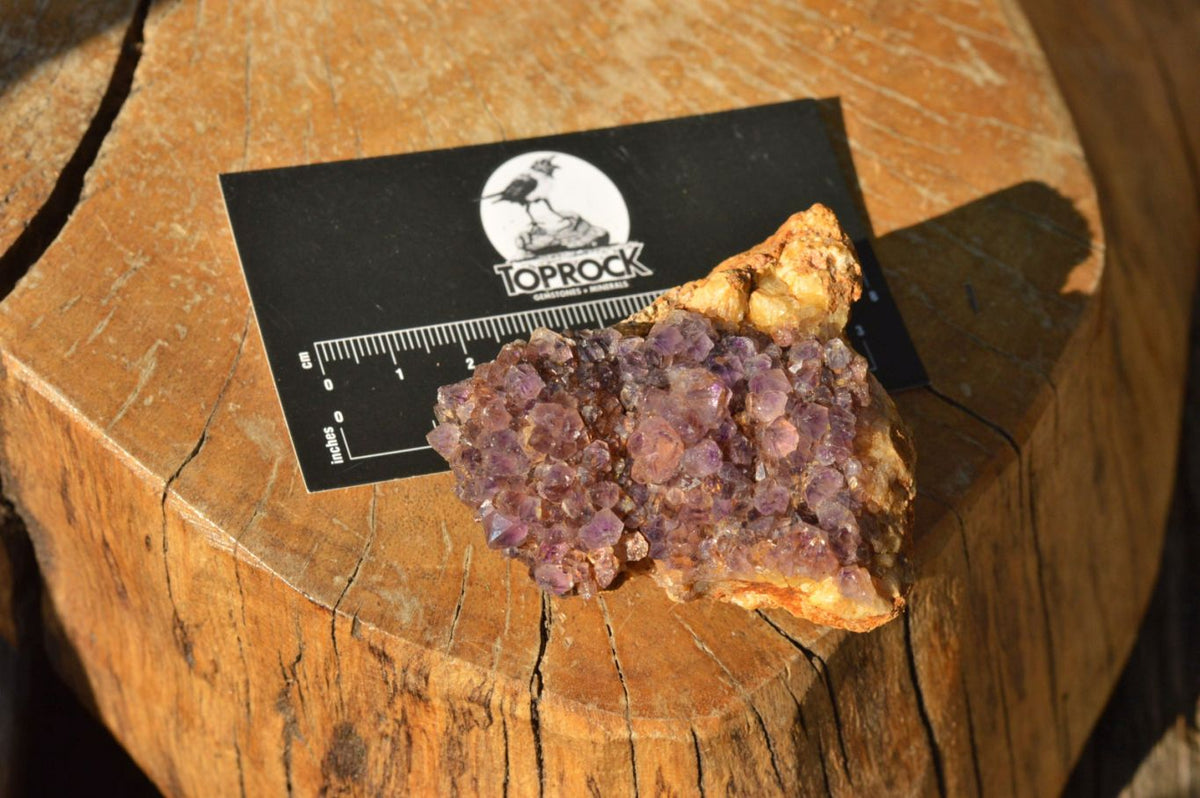 Natural Lovely Dark "Amethystos" Amethyst Clusters x 20 From Kwaggafontein, South Africa - TopRock