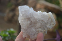Natural White Cactus Flower Spirit Quartz Specimens x 6 From Boekenhouthoek, South Africa - Toprock Gemstones and Minerals