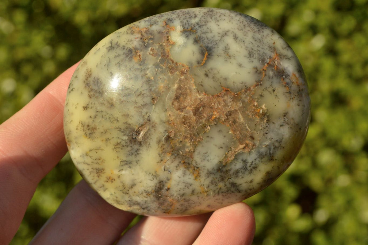 Polished Green & White Dendritic Opal Gallets x 12 From Madagascar - TopRock