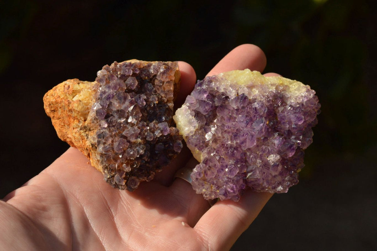 Natural Lovely Dark "Amethystos" Amethyst Clusters x 20 From Kwaggafontein, South Africa - TopRock