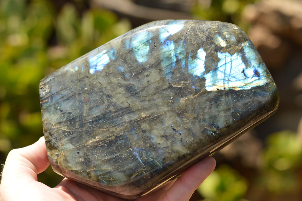 Polished Blue & Gold Labradorite Standing Free Form x 1 From Tulear, Madagascar - TopRock