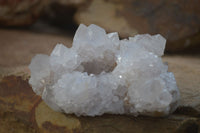 Natural White Cactus Flower Spirit Quartz Specimens x 6 From Boekenhouthoek, South Africa - Toprock Gemstones and Minerals