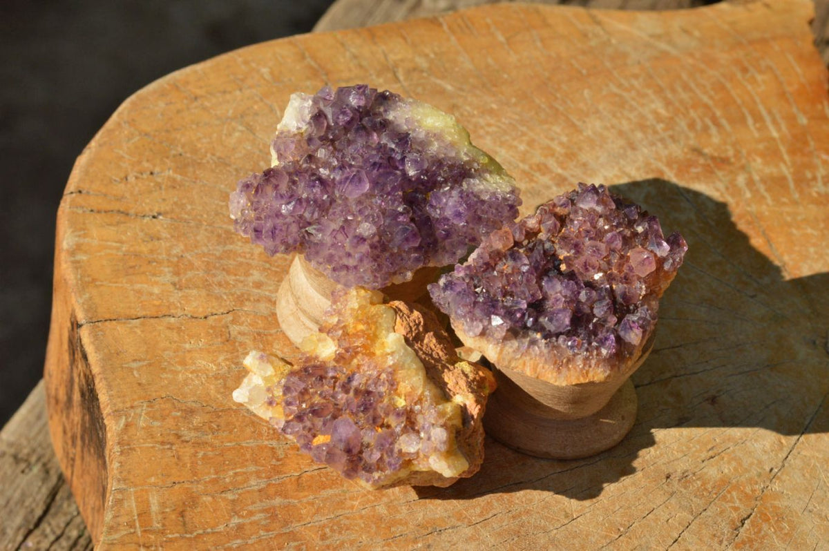 Natural Lovely Dark "Amethystos" Amethyst Clusters x 20 From Kwaggafontein, South Africa - TopRock