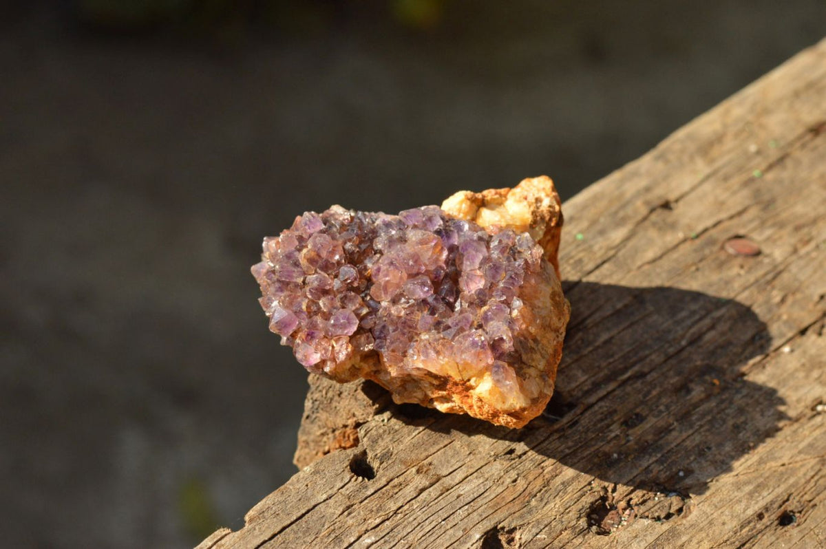 Natural Lovely Dark "Amethystos" Amethyst Clusters x 20 From Kwaggafontein, South Africa - TopRock