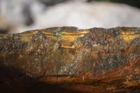 Natural Sliced Tigers Eye Specimen x 1 From Prieska, South Africa - Toprock Gemstones and Minerals