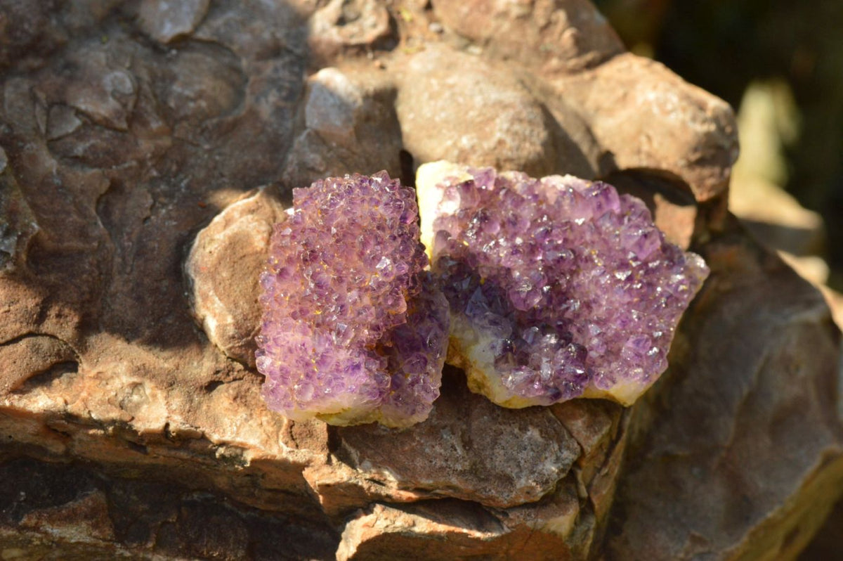 Natural Lovely Dark "Amethystos" Amethyst Clusters x 20 From Kwaggafontein, South Africa - TopRock