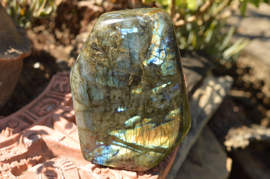 Polished Blue & Gold Labradorite Standing Free Form x 1 From Tulear, Madagascar - TopRock