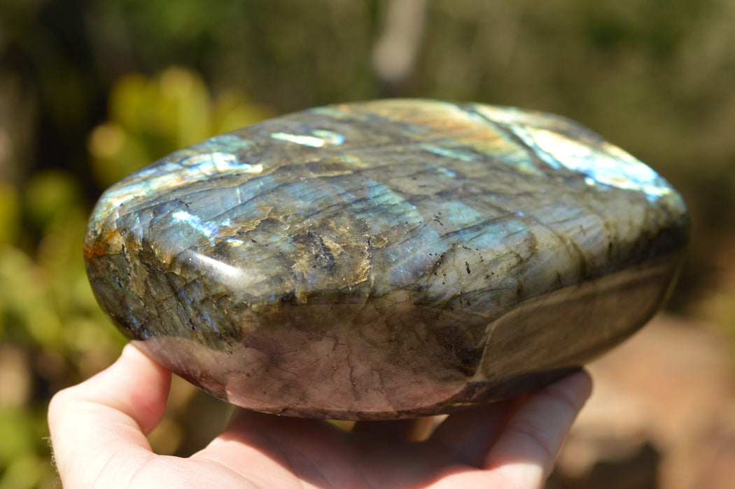 Polished Blue & Gold Labradorite Standing Free Form x 1 From Tulear, Madagascar - TopRock
