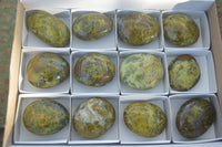 Polished selected Green Opal Palm Stones x 12 From Antsirabe, Madagascar - Toprock Gemstones and Minerals
