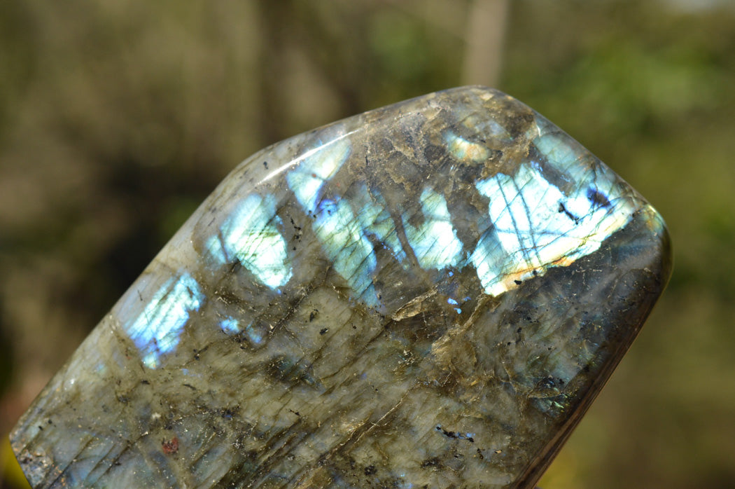 Polished Blue & Gold Labradorite Standing Free Form x 1 From Tulear, Madagascar - TopRock