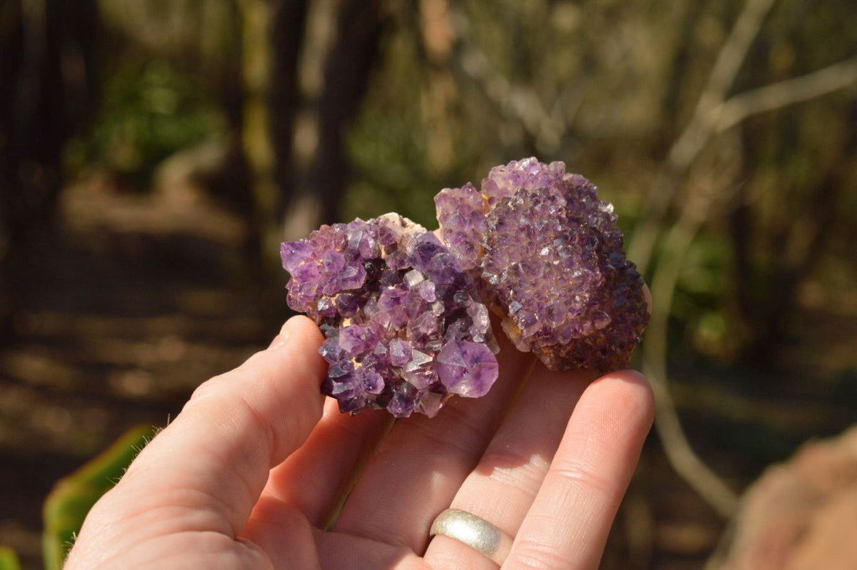 Natural Lovely Dark "Amethystos" Amethyst Clusters x 20 From Kwaggafontein, South Africa - TopRock