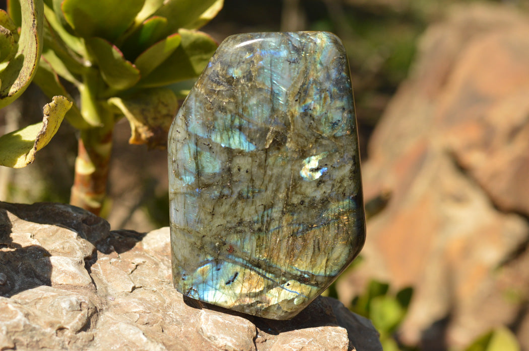 Polished Blue & Gold Labradorite Standing Free Form x 1 From Tulear, Madagascar - TopRock