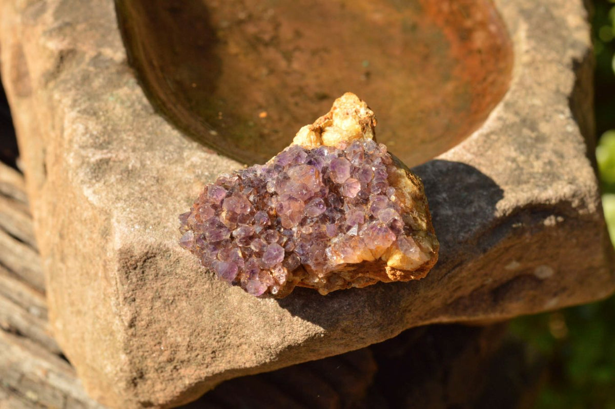 Natural Lovely Dark "Amethystos" Amethyst Clusters x 20 From Kwaggafontein, South Africa - TopRock