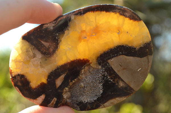 Polished Septerye (Aragonite & Calcite) Slices x 18 From Mahajanga, Madagascar - TopRock