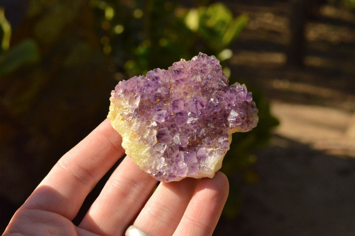 Natural Lovely Dark "Amethystos" Amethyst Clusters x 20 From Kwaggafontein, South Africa - TopRock