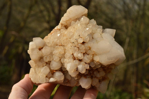 Natural Groovy Pineapple Candle Quartz Crystal Formations  x 2 From Madagascar - TopRock