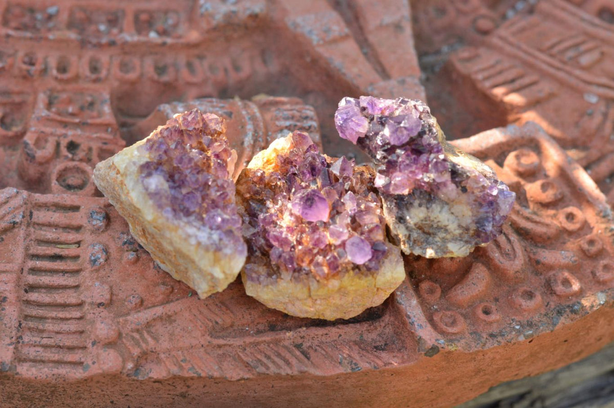 Natural Lovely Dark "Amethystos" Amethyst Clusters x 20 From Kwaggafontein, South Africa - TopRock