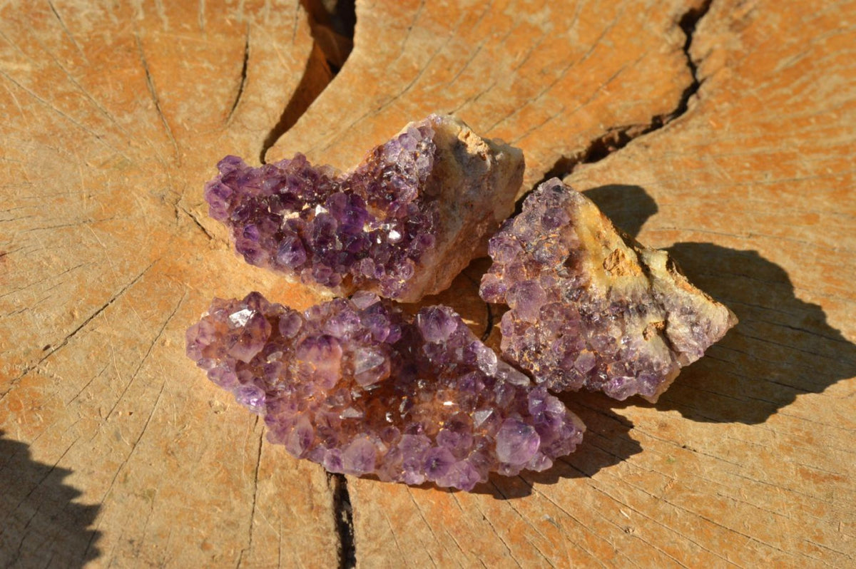 Natural Lovely Dark "Amethystos" Amethyst Clusters x 20 From Kwaggafontein, South Africa - TopRock