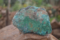 Natural Rough Blue Shattuckite Specimens  x 6 From Kaokoveld, Namibia - Toprock Gemstones and Minerals