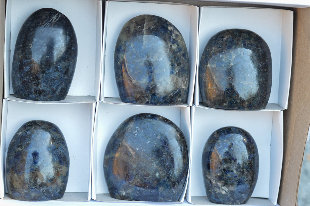 Polished Rare Blue Iolite / Water Sapphire Standing Free Forms x 6 From Madagascar - TopRock
