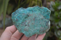 Natural Rough Blue Shattuckite Specimens  x 6 From Kaokoveld, Namibia - Toprock Gemstones and Minerals