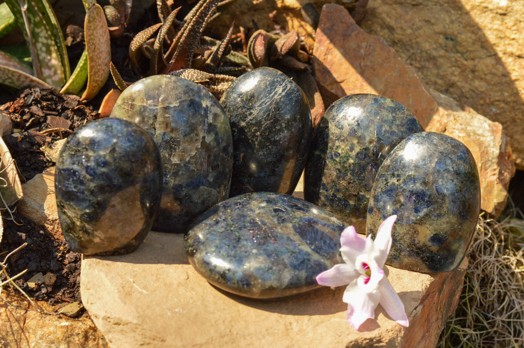 Polished Rare Blue Iolite / Water Sapphire Standing Free Forms x 6 From Madagascar - TopRock