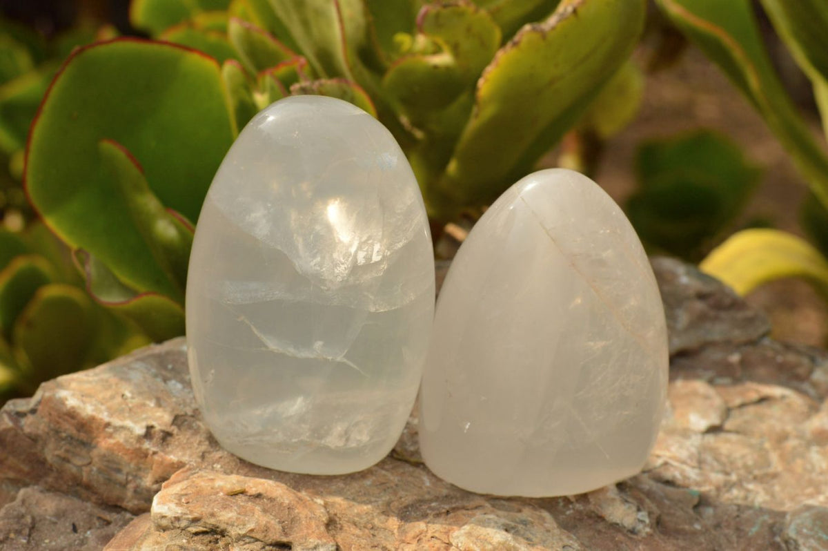 Polished Small Optic Girasol Pearl Quartz Standing Free Forms x 6 From Madagascar - TopRock