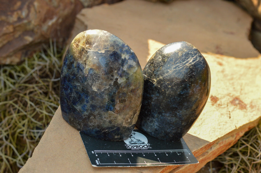 Polished Rare Blue Iolite / Water Sapphire Standing Free Forms x 6 From Madagascar - TopRock