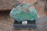 Natural Rough Blue Shattuckite Specimens  x 6 From Kaokoveld, Namibia - Toprock Gemstones and Minerals
