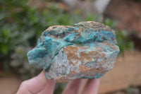 Natural Rough Blue Shattuckite Specimens  x 6 From Kaokoveld, Namibia - Toprock Gemstones and Minerals