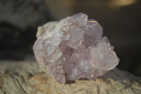Natural Spirit Amethyst Cactus Quartz Clusters x 12 From Boekenhouthoek, South Africa - Toprock Gemstones and Minerals