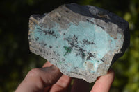 Natural Drusy Coated Chrysocolla & Malachite Dolomite Specimens x 6 From Congo - Toprock Gemstones and Minerals